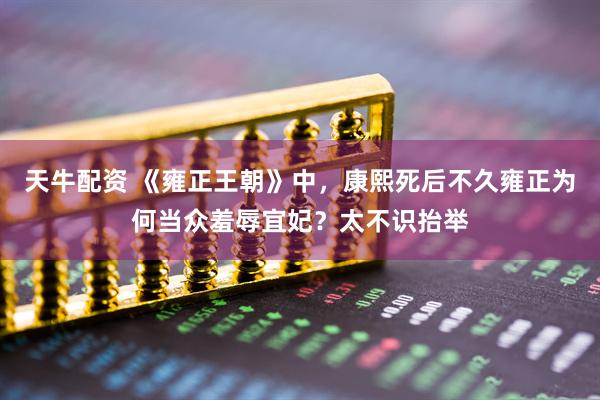 天牛配资 《雍正王朝》中，康熙死后不久雍正为何当众羞辱宜妃？太不识抬举