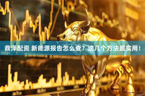 鼎泽配资 新能源报告怎么查？这几个方法超实用！