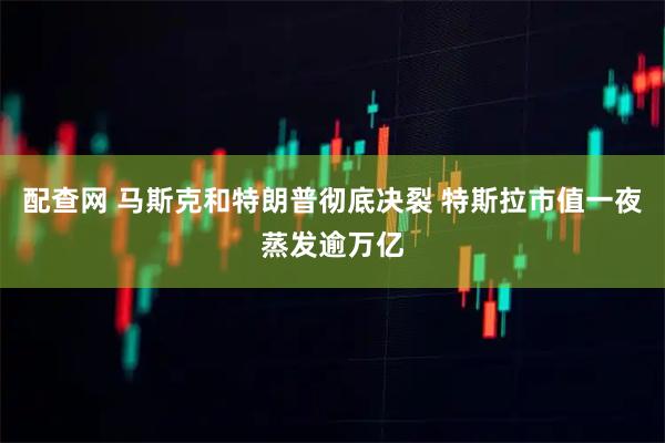 配查网 马斯克和特朗普彻底决裂 特斯拉市值一夜蒸发逾万亿
