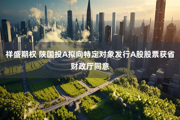祥盛期权 陕国投A拟向特定对象发行A股股票获省财政厅同意