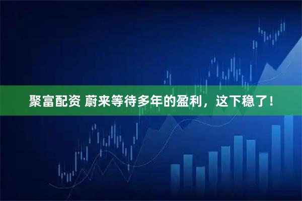 聚富配资 蔚来等待多年的盈利，这下稳了！