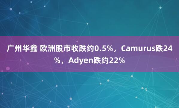 广州华鑫 欧洲股市收跌约0.5%，Camurus跌24%，Adyen跌约22%