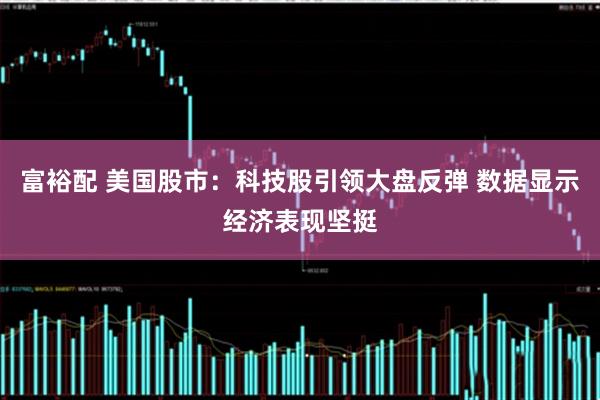 富裕配 美国股市：科技股引领大盘反弹 数据显示经济表现坚挺