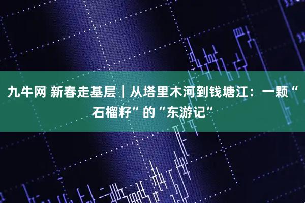 九牛网 新春走基层｜从塔里木河到钱塘江：一颗“石榴籽”的“东游记”