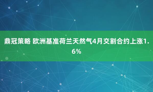 鼎冠策略 欧洲基准荷兰天然气4月交割合约上涨1.6%