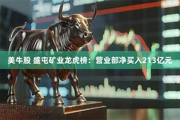 美牛股 盛屯矿业龙虎榜：营业部净买入213亿元