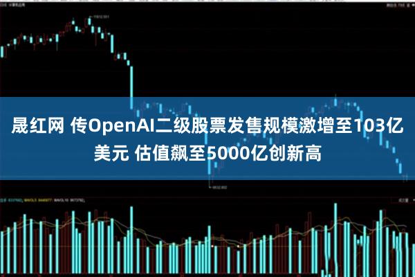 晟红网 传OpenAI二级股票发售规模激增至103亿美元 估值飙至5000亿创新高